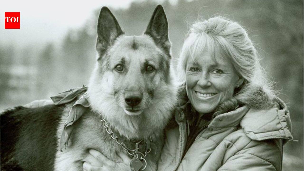 Anne LaBastille built a 12-by-12-foot cabin deep in New York’s Adirondacks with no electricity, plumbing or road; she spent decades living in the wilderness and her 32-acre home is now protected forever