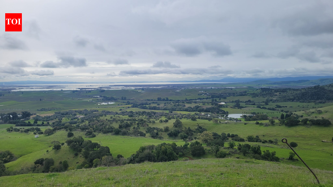 A Napa art center is giving up development rights on 162 of its 217 acres; the deal protects 75% of the estate while directing up to $1.85 million back to the arts