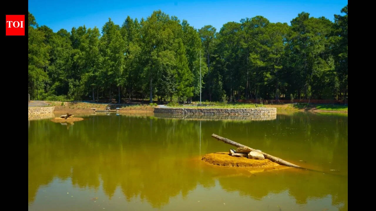 A 1950s farm pond at one of Georgia’s busiest parks had leaking banks, failing pipes and decades of sediment; Roswell spent $3.1 million rebuilding it to manage runoff from 52 acres