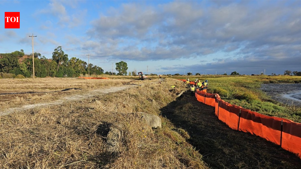 Palo Alto built San Francisco Bay’s first horizontal levee to reuse treated wastewater; the 500-foot living slope restores marsh habitat and tests defenses against sea-level rise