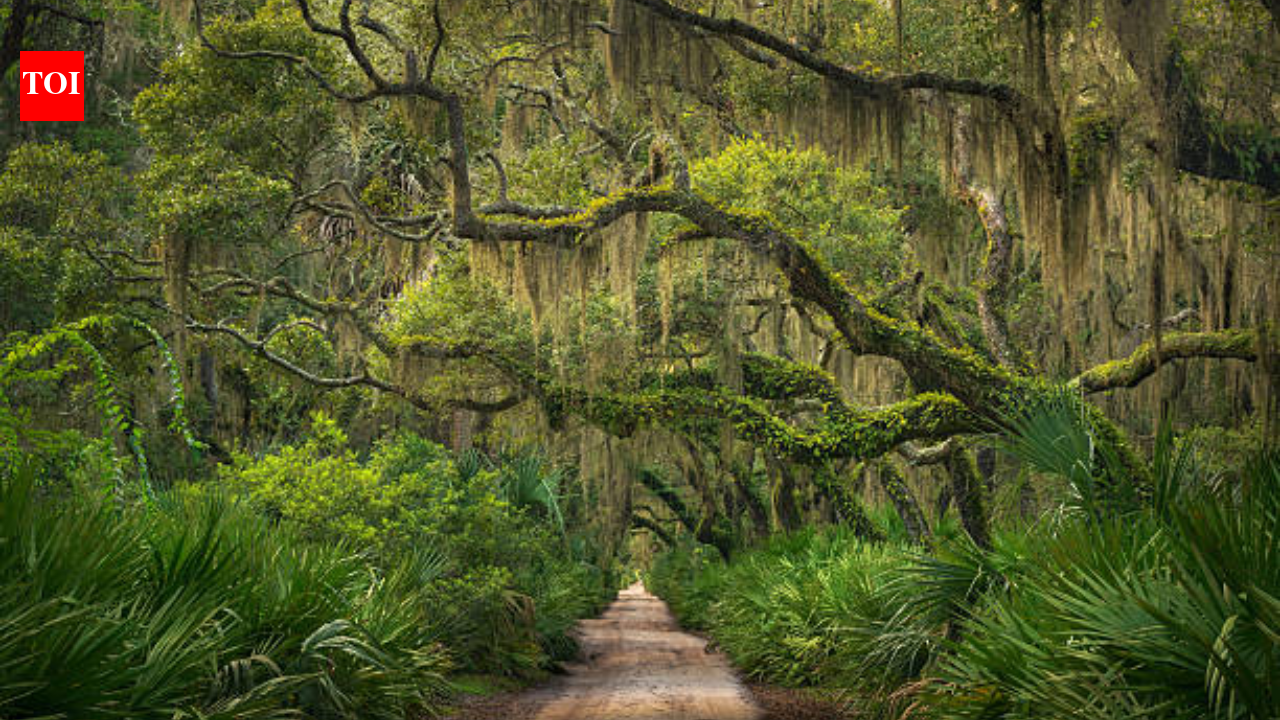 The US wants to swap federal land on Georgia’s Cumberland Island for privately owned parcels; any parkland leaving federal ownership would be permanently barred from subdivision and major development