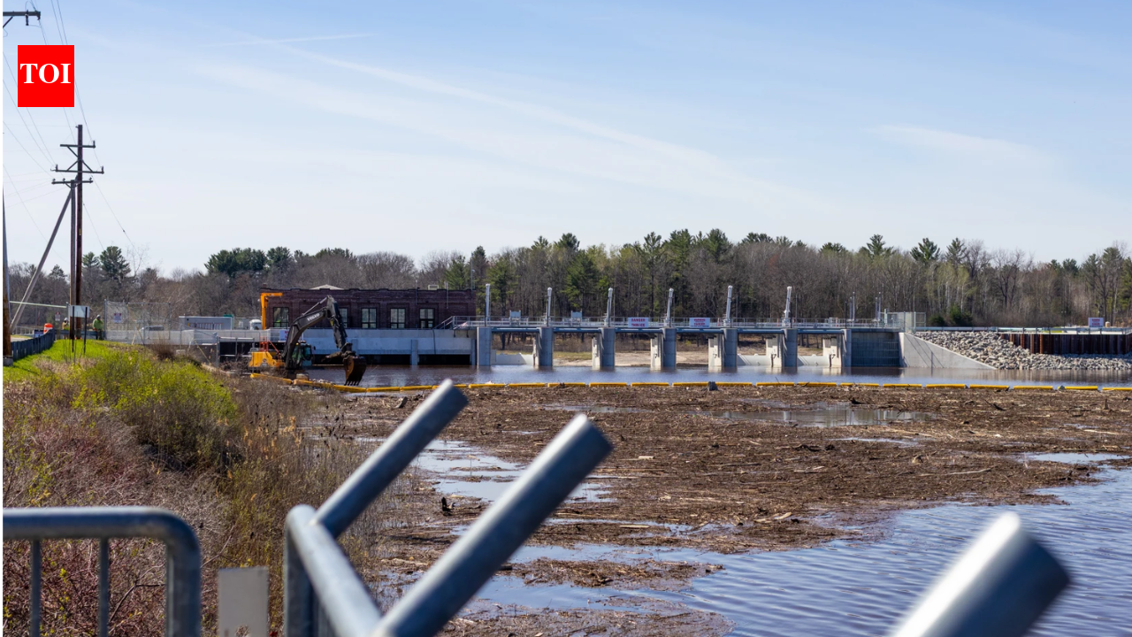 In 2020, a Michigan dam failure drained Sanford Lake; six years later, the water returned and a beach festival launched in 2005 came back to its original shoreline