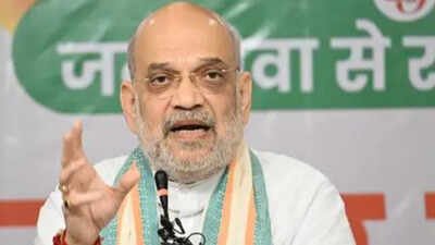 On Shah’s UCC claim, 3 BJP allies sound caution | India News