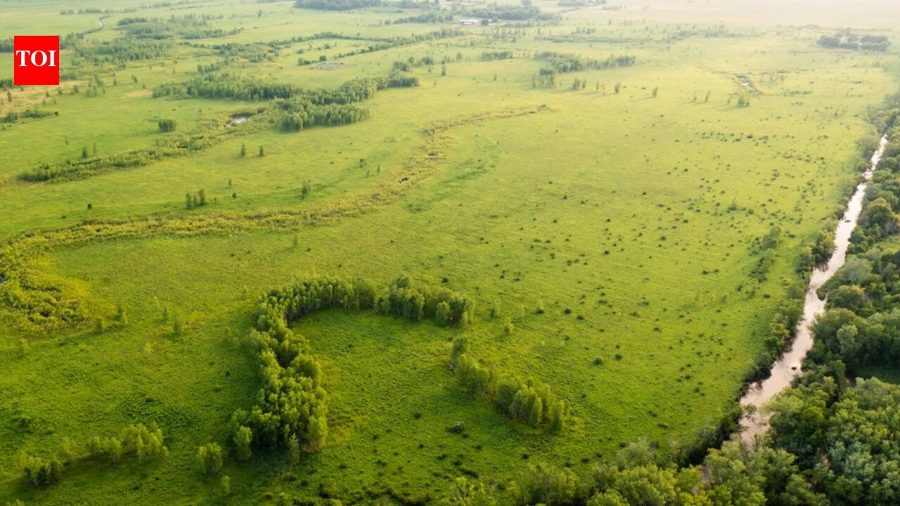 A Wisconsin family tried for years to drain nearly 2,000 floodplain acres for farming; after the effort struggled and a tax fight followed, the land is now permanently protected along 2+ miles of the Sugar River