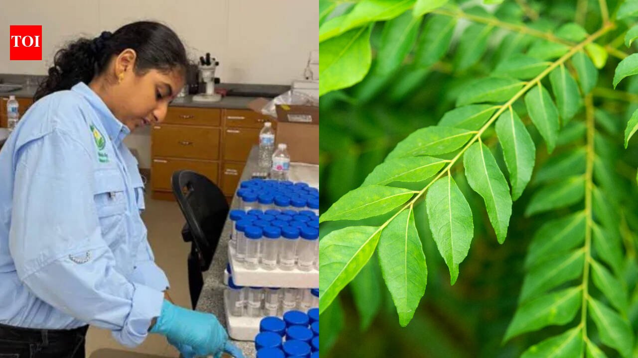 Meet Tanishka Aglave, the 17-year-old Valrico, Florida student who built a curry leaf treatment, steam system and AI tool to fight citrus greening; she won $50,000