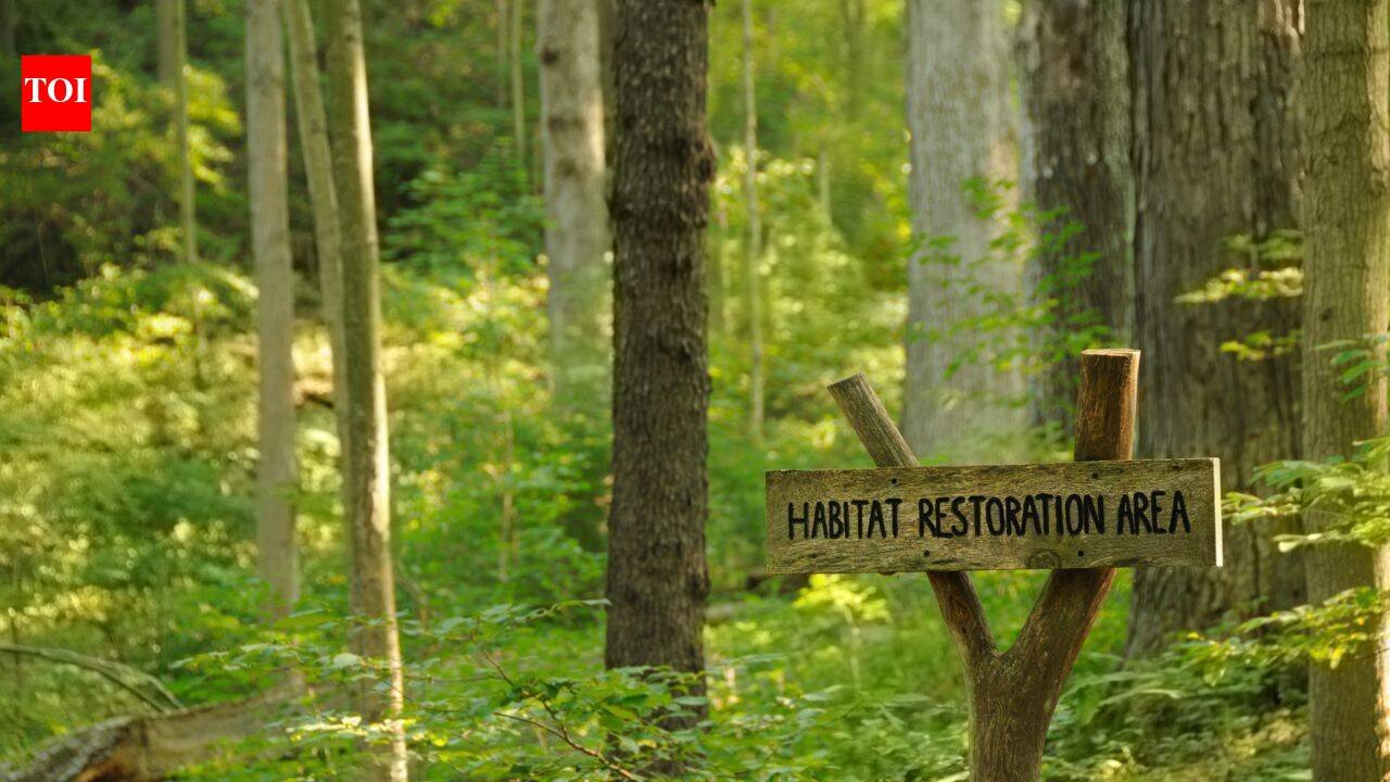 An anonymous donor gave Cincinnati $1.8 million to restore 228 acres of forest; the 5-year project is the city’s biggest park reforestation effort in nearly 100 years