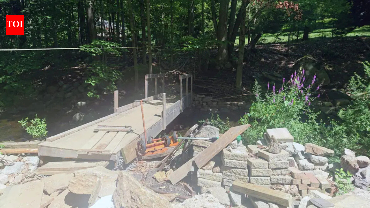 Connecticut homeowner built a bridge to protect his property from erosion; judge ordered him to restore the brook as town says work needed a permit | World News