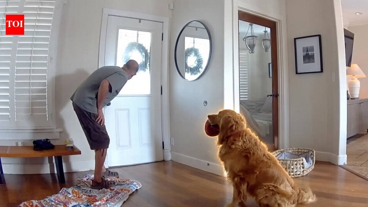 An intruder breaks into a San Diego home, but Golden Retriever Nash keeps offering him toys; then police arrive, and the dog has the same plan, all caught on camera