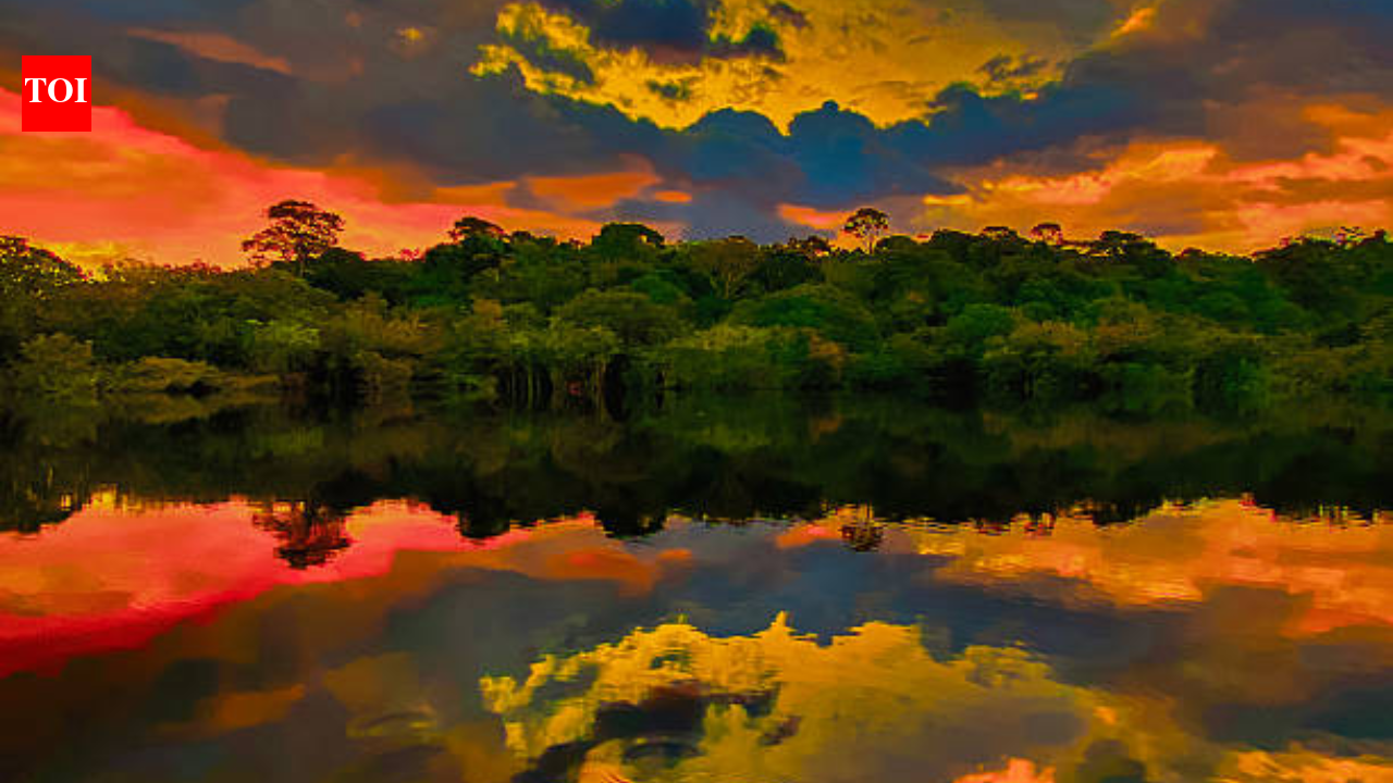 In 1927, Henry Ford took over a stretch of the Amazon rainforest to build an American town inside it; in 1945 he was forced to sell it for $250,000
