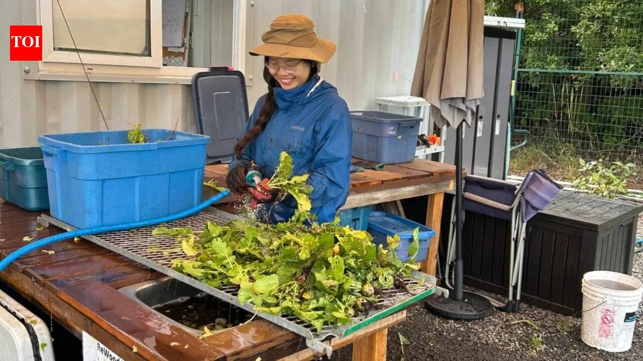 Meet Apollin Lu, the 17-year-old British Columbia student who mobilised 140+ volunteers to rescue nearly 9,000 pounds of farm produce