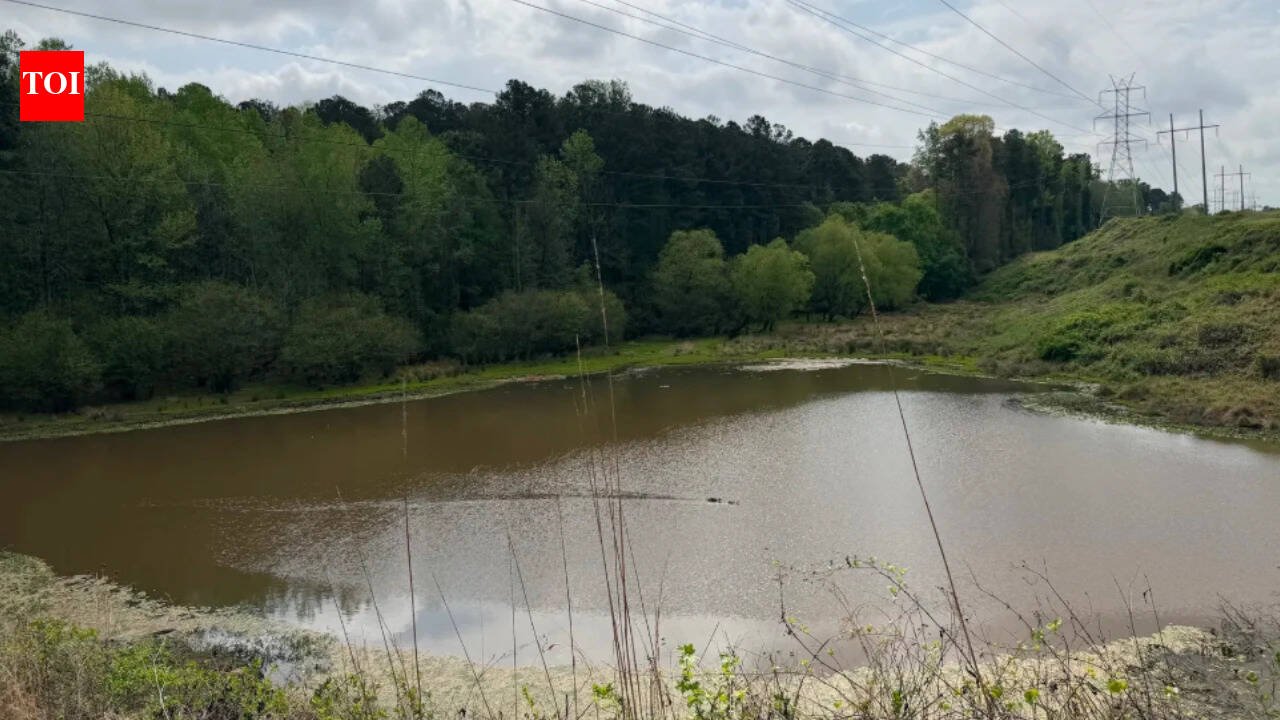 An Atlanta teacher spent years warning students away from a locked 26-acre forest outside their school; community organizing has now secured $3 million to begin turning the hidden city land into a public park
