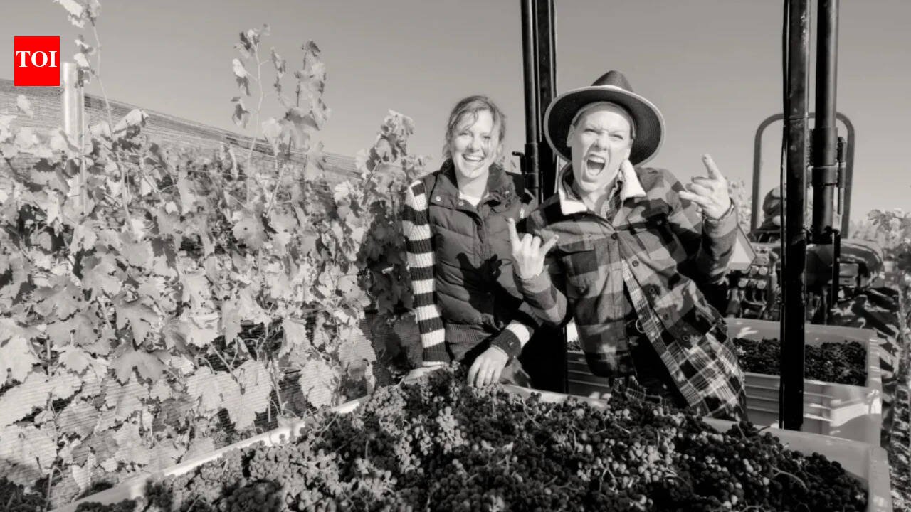 In 2013, Pink paid nearly $9 million for a 200-acre California ranch with a 10,000-sq-ft home; 13 years later, the estate has become a working organic vineyard producing her Two Wolves wine
