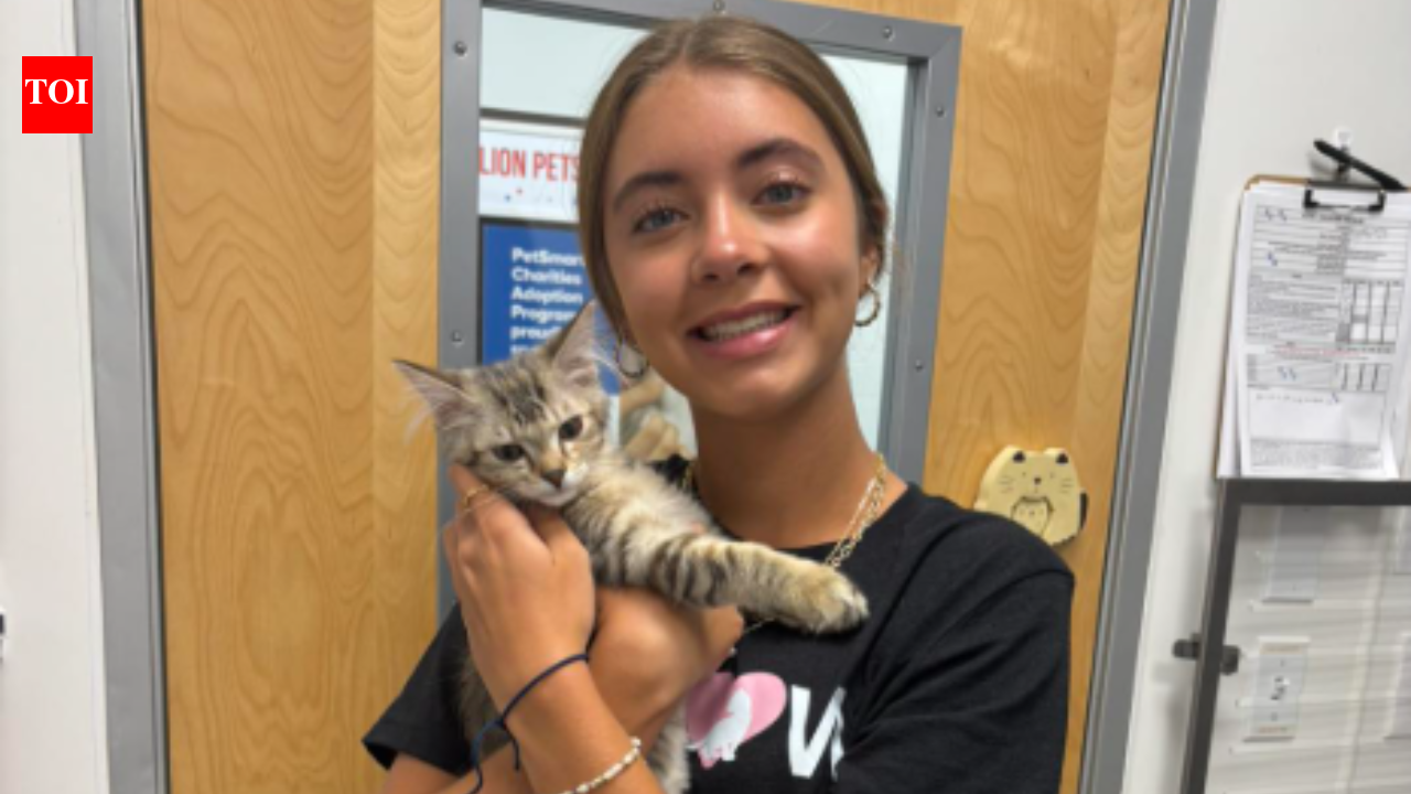 Meet Sawyer Tinsley, a 16-year-old Florida teen who used yard flamingos to raise $25K for rescue pets after fostering a kitten saved her from loneliness