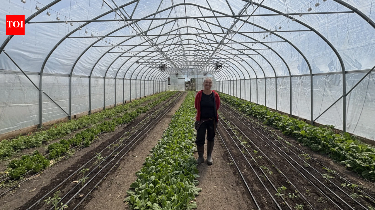 In 2010, a financially ruined couple started farming on leased land; after hitting $100,000 on one-third acre in New York, their farm now pushes nearly $700,000 a year from mostly 2.5 acres