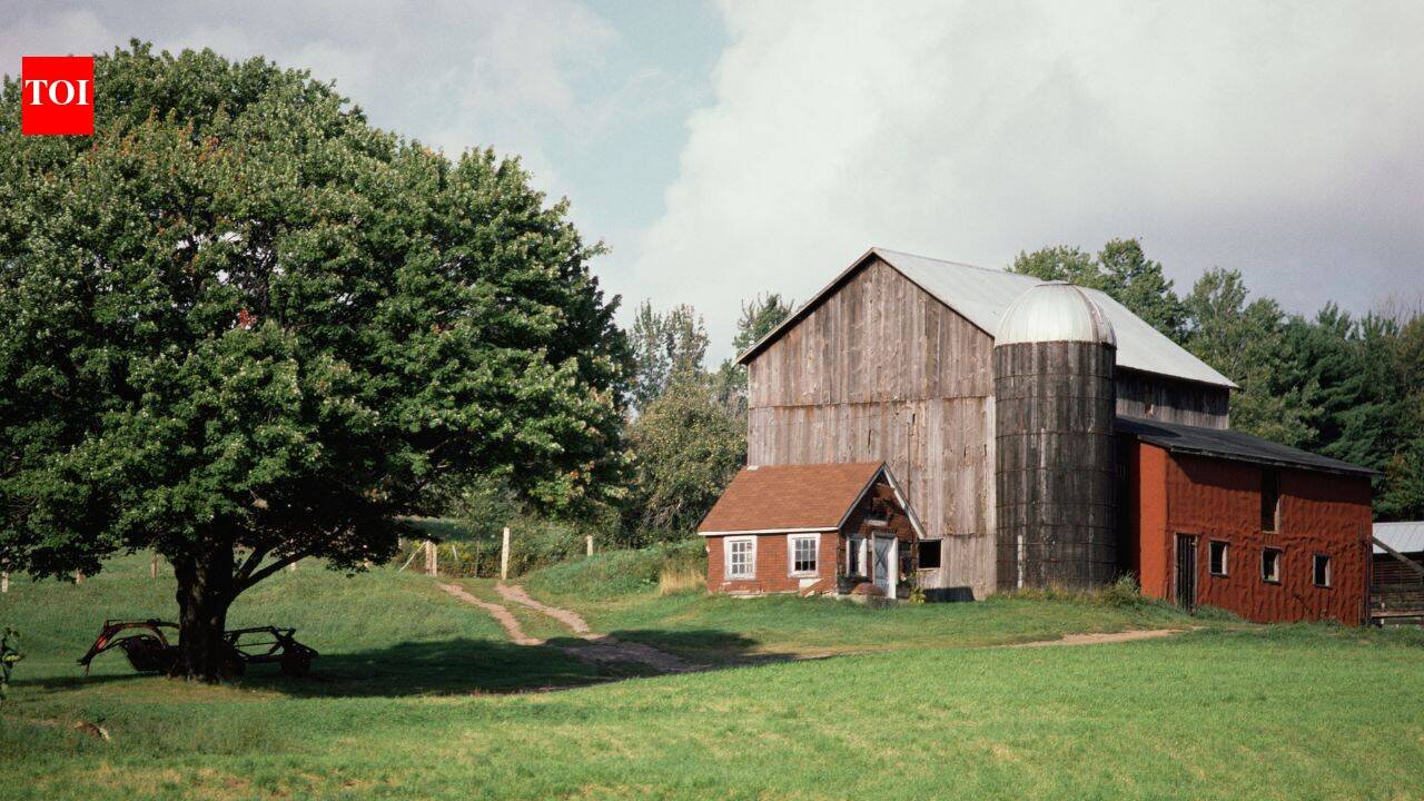 In 1954, a Maryland family bought a worn-out 62-acre truck farm and let the land heal; 72 years later, Toad Hall is permanently protected inside a 1,200-acre conservation block