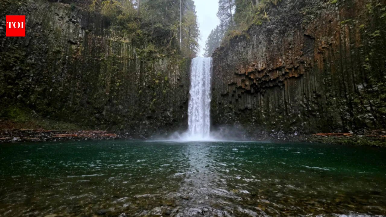 Oregon feared a famous 92-foot waterfall on private land could be sold to a new owner; the state has now approved a $2 million purchase that will permanently protect Abiqua Falls and open public access