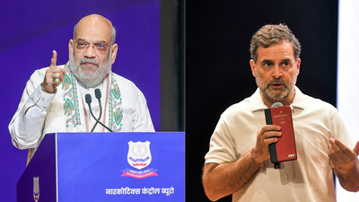 ‘Dead mindset cannot see vibrancy’: Amit Shah hits back at Rahul’s ‘dead economy’ remark | India News