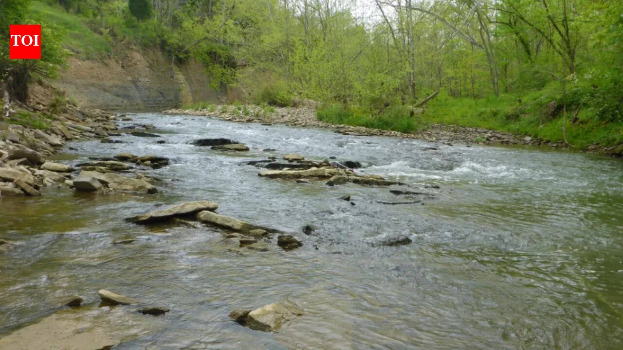 A Kentucky woman spent 35 years turning 45 acres into a nature preserve; now a nearly $40 million sewer project has secured seven easements across her land through eminent domain, triggering fresh county scrutiny