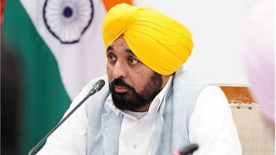 Anti-sacrilege law: Mann to hold meeting of coordination committee to discuss provisions | India News