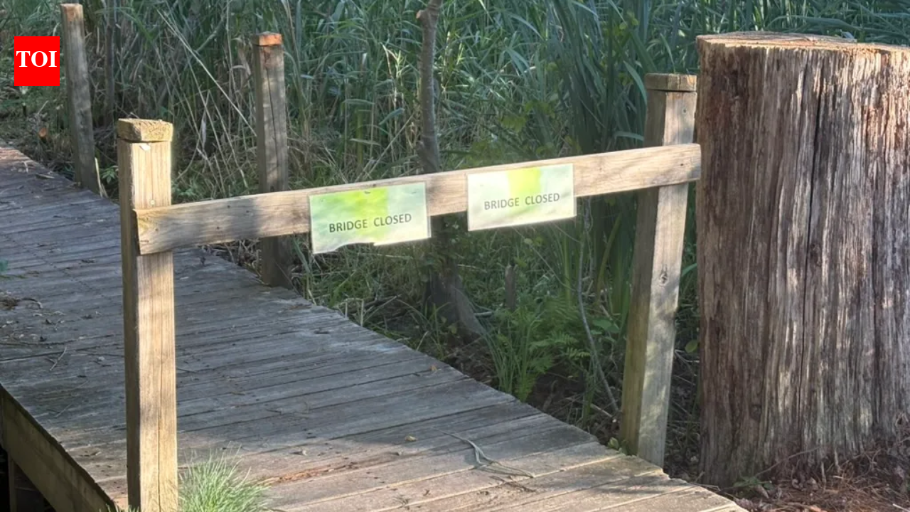 Meet Erin Gardner, the Westford student raising $2,200 to rebuild a 24-foot trail bridge; she has already raised $1,125 and plans to replace its railings so children can safely keep using the path