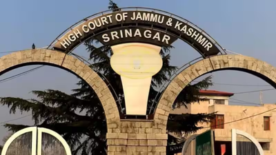 Can’t deny employee security clearance based on kin’s antecedents: J&K high court | India News