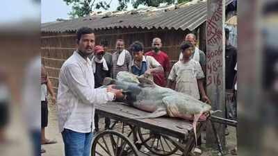 Nepal floods bring ‘unusual’ fish to Bihar, govt warns people not to eat or sell them | India News