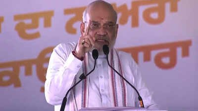 ‘Someone who gets intoxicated’: Amit Shah’s dig at AAP, vows drug-free Punjab by 2029 | India News