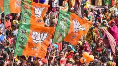 Rajasthan Local Body Elections: ‘Someone from that ward voted for me’: BJP candidate gets 1 vote in Rajasthan local body polls | India News