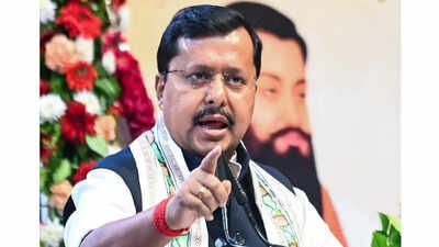 Congress owes nation a public apology: Nabin after EC statement | India News