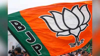 BJP spent 287cr in Bengal, 54% of total expense in 5 assembly polls | India News
