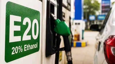 Beyond E20? Only flex-fuel vehicles may have the option, indicates adviser | India News