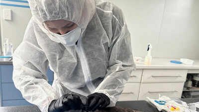 H1N1 dominates flu strains in India, accounts for 3 out of 4 cases: WHO | India News