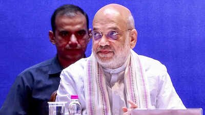 288 fugitives brought back since 2019: HM Amit Shah | India News