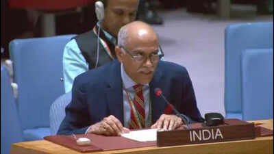 ‘9/11 architects were not hiding in caves’: India hits out at Pakistan at UN over terror safe havens | India News