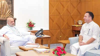 J&K BJP bigwig meets Shah day after Omar moves statehood resolution with autonomy reference | India News