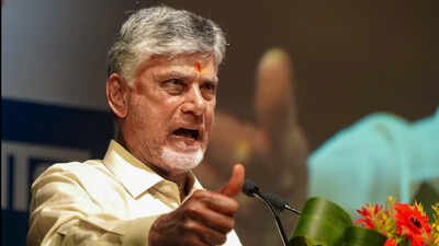 BJP allies close ranks, flay opposition for ‘undermining democracy’ | India News