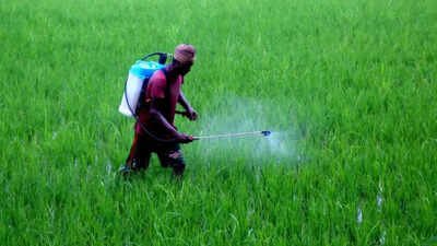 Amazon, Flipkart & JioMart fined for illegal herbicide sale | India News