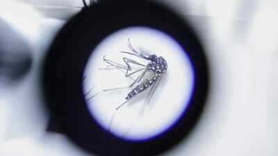 Northeast faces new vector threat as diseases spread to new areas: Health panel | India News