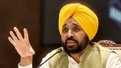 Punjab govt announces 8 pc DA hike for employees, pensioners | India News