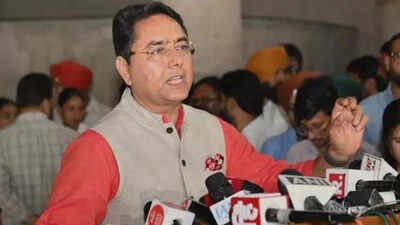 Gangsterism In Punjab: Gangster’s extradition from Moldova shows Mann government’s resolve: Punjab minister | India News