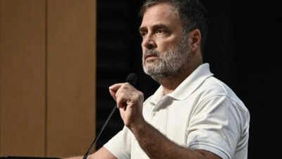 TN minister reiterates Rahul Gandhi for PM pitch; rules out Vijay as contender | India News
