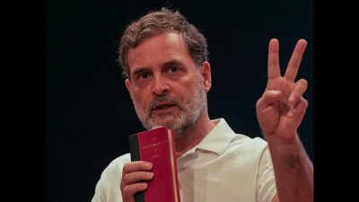 ‘Just another calm’: Rahul Gandhi shares ‘rough sea’ message | India News