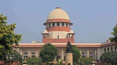Using recovery agents proves costly for truck financier, SC orders Rs 15 lakh payout | India News