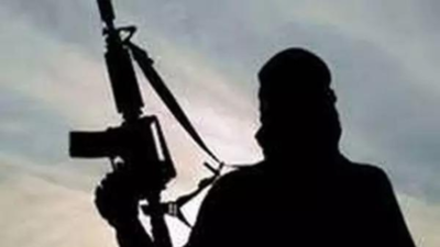 Army, CRPF, J&K police launch joint operation in J&K’s Udhampur after input on suspicious movement | India News
