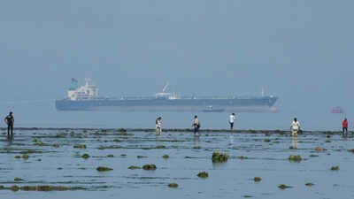 Indian imports of Russian crude oil to decline further amid lower exports, Chinese competition | India News