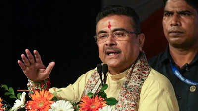 ‘I apologise’: Bengal CM Adhikari after govt ad sparks row over ‘distorted’ Durga image | India News