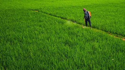 India’s agri-seed sector accounts for the largest share of receipts under benefit sharing regulations during April-Sept | India News