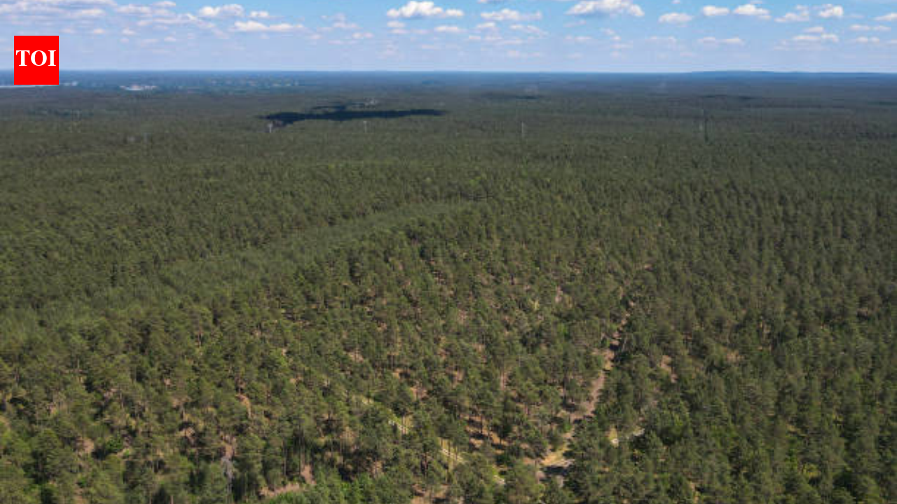 A North Carolina family bought 600 acres in 1811 and kept part of the land for seven generations; 214 years later, a conservation deal protected 298 acres from becoming housing or commercial developments | World News