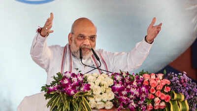 From ‘tareekh pe tareekh’ to justice within 3 years: Amit Shah hails BNS, overhaul of criminal laws | India News