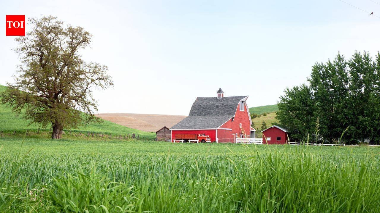 An Iowa family lived on and worked its farmland for 84 years as Tom Woods gradually expanded the operation; now 1,209 acres are being split into 13 tracts and auctioned, ending a family land chapter